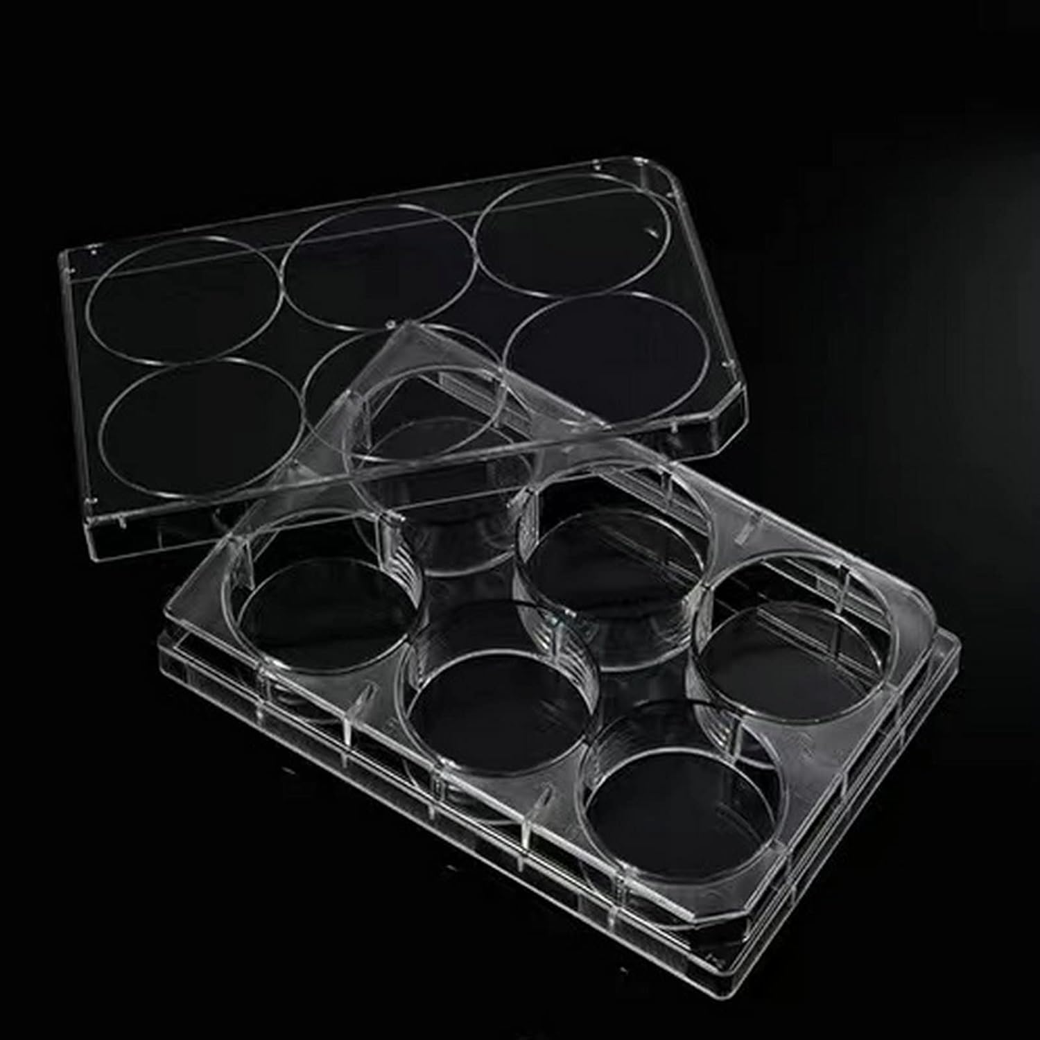 6-Well Culture Plates With Lid (Sterile)