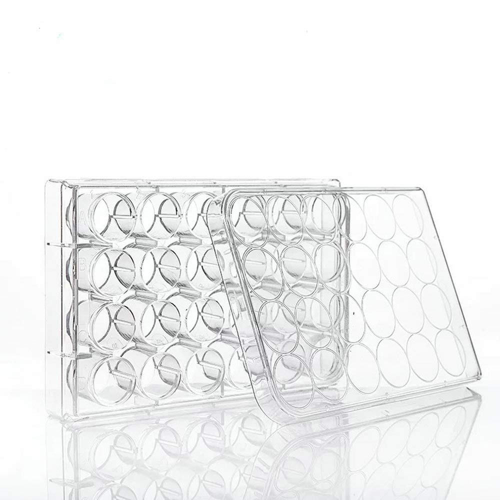 24-Well Culture Plates With Lid (Sterile)