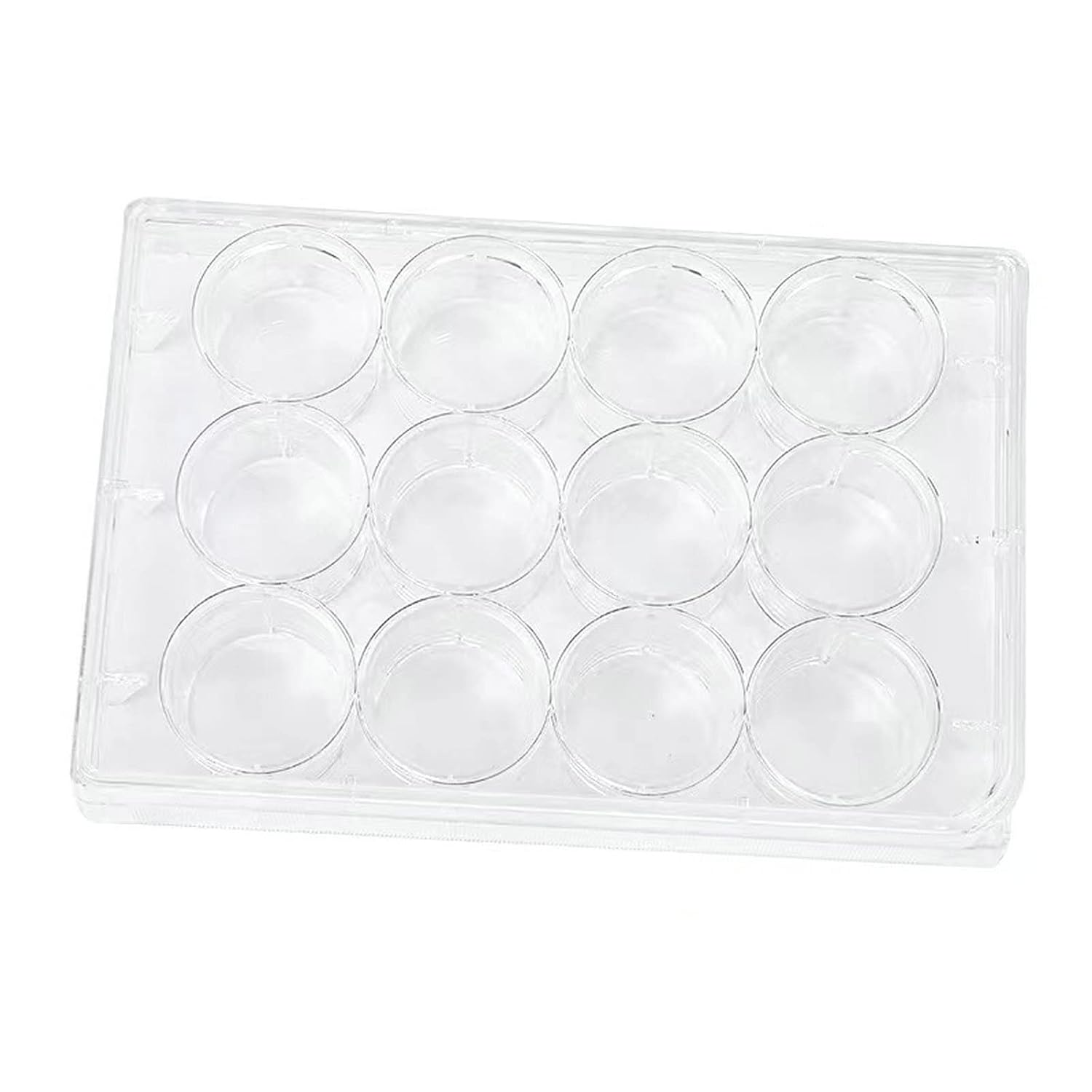 12-Well Culture Plates With Lid (Sterile)