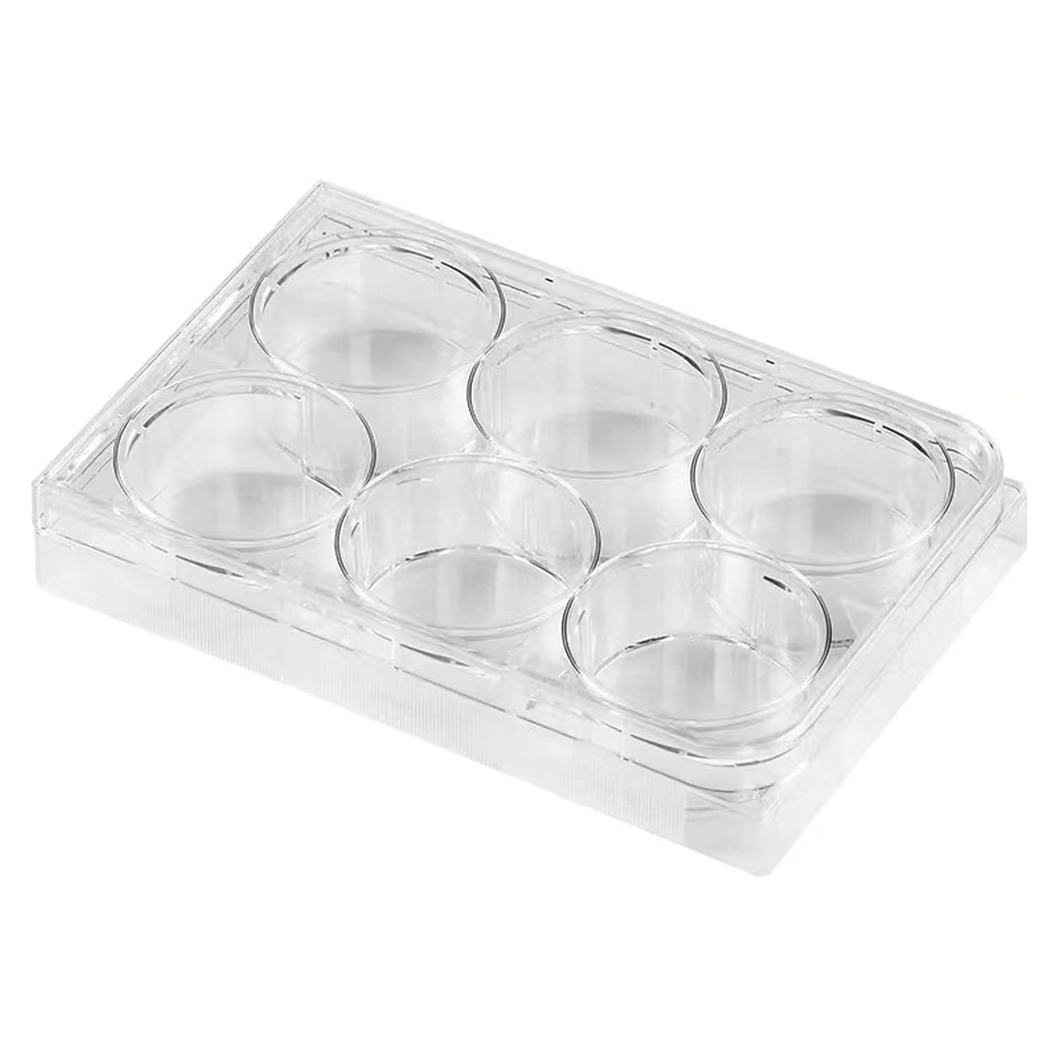 6-Well Culture Plates With Lid (Sterile)