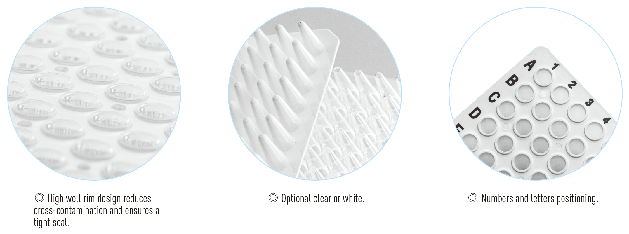 96-Well PCR Plates (White; No Skirt)